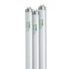 4' SunLite® T-8 Bulbs, Set Of 3 -Garden Care Shop 34745 001ed tif