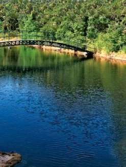 Aquasphere Pond Cleaners -Garden Care Shop 37425 001ed 1