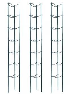 Tomato Ladders, Set Of 3 10 Tomato Ladders, Set Of 3 -Garden Care Shop 38184 002E psd