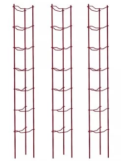 Tomato Ladders, Set Of 3 11 Tomato Ladders, Set Of 3 -Garden Care Shop 38185 002E psd