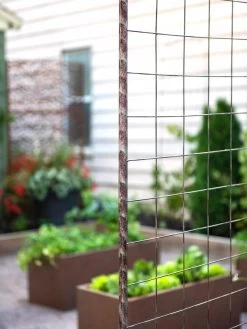 Jardin Rose Arch -Garden Care Shop 38690 9948 tif