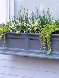 Fairfield Self-Watering Window Box, 3’ -Garden Care Shop 39 344 9360 tif