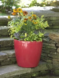 Viva Round Self-Watering Rolling Planter, 17.25” Diameter -Garden Care Shop 39326 046 tif