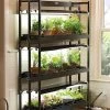 3-Tier Sunlite® Garden -Garden Care Shop 39357 004 grow lights with three shelves large tif