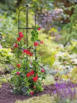 Essex Round Trellises -Garden Care Shop 39544 2267 tif