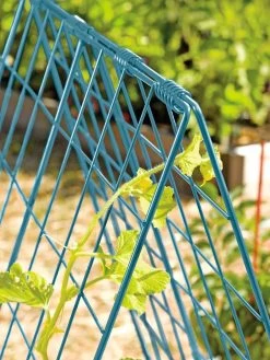 Deluxe Cucumber Trellis -Garden Care Shop 39806 BLUE 100 tif