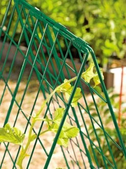 Deluxe Cucumber Trellis -Garden Care Shop 39806 GR edit tif