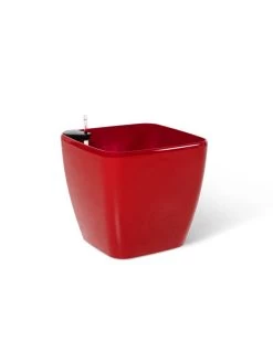 Viva Square Self-Watering Rolling Planter, 20" Diameter, Set Of 2 -Garden Care Shop 3 4 crop 8612930 0105