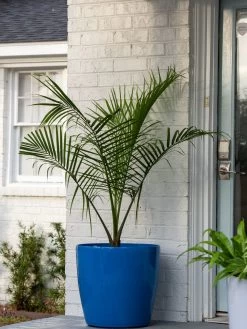 Viva Round Self-Watering Rolling Planter, 20" Diameter, Set Of 2 16 Viva Round Self-Watering Rolling Planter, 20" Diameter, Set Of 2 -Garden Care Shop 3 4 crop 8612933 0024 tif