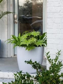 Viva Round Self-Watering Rolling Planter, 20" Diameter, Set Of 2 17 Viva Round Self-Watering Rolling Planter, 20" Diameter, Set Of 2 -Garden Care Shop 3 4 crop 8612933 0025 tif