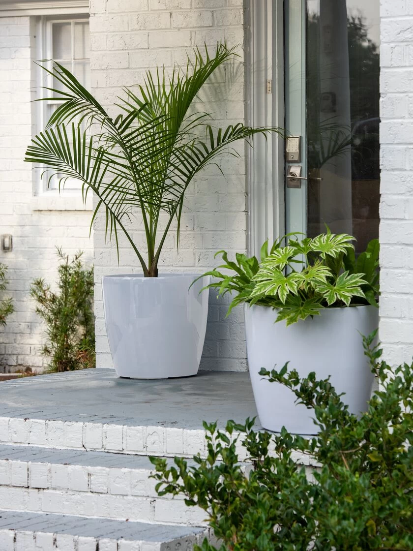 Viva Round Self-Watering Rolling Planter, 20" Diameter, Set Of 2 4 Viva Round Self-Watering Rolling Planter, 20" Diameter, Set Of 2 - Image 2