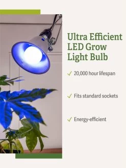 Miracle LED® Grow Light Bulb, Blue 10 Miracle LED® Grow Light Bulb, Blue -Garden Care Shop 3 4 crop Miracle Bulb Blue 1