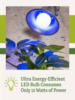 Miracle LED® Grow Light Bulb, Blue 11 Miracle LED® Grow Light Bulb, Blue -Garden Care Shop 3 4 crop Miracle Bulb Blue 2
