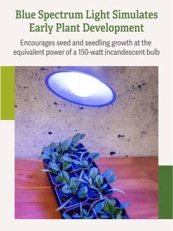 Miracle LED® Grow Light Bulb, Blue 12 Miracle LED® Grow Light Bulb, Blue -Garden Care Shop 3 4 crop Miracle Bulb Blue 3