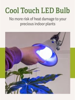 Miracle LED® Grow Light Bulb, Blue 13 Miracle LED® Grow Light Bulb, Blue -Garden Care Shop 3 4 crop Miracle Bulb Blue 4