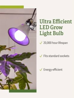 Miracle LED® Grow Light Bulb, Red And Blue -Garden Care Shop 3 4 crop Miracle Bulb RB 1