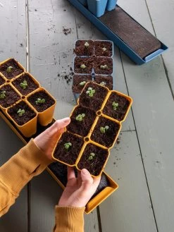 Gardener's Best® XL Seed Starting Kit -Garden Care Shop 40 135 6186