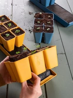 Coco Coir Seed Starting Mix -Garden Care Shop 40 135 6192