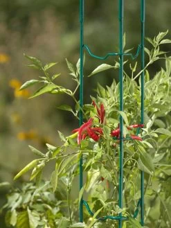 Garden Care Shop -Garden Care Shop 40308 505 jpg