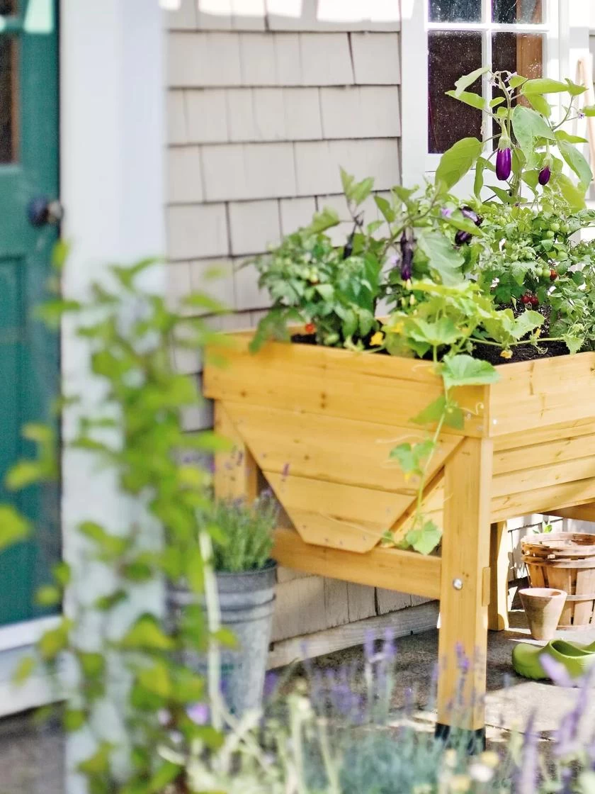 Compact VegTrug® Patio Garden 4 Compact VegTrug® Patio Garden - Image 2