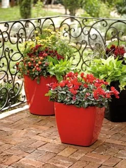 Viva Square Self-Watering Rolling Planter, 14" Diameter -Garden Care Shop 8586699 982 tif
