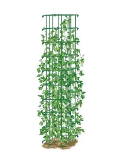 Bean Tower -Garden Care Shop 8587060 0008 GRN tif
