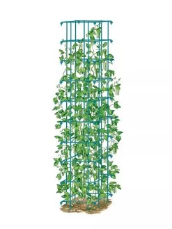Bean Tower -Garden Care Shop 8587060 BeanTower BLUE