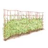 Expandable Pea Trellis