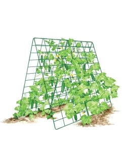 Deluxe Cucumber Trellis -Garden Care Shop 8587083 001 GRN tif