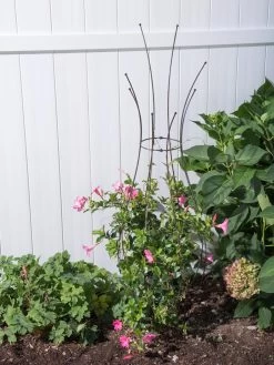 Jardin Pot Trellis 9 Jardin Pot Trellis -Garden Care Shop 8587120 0028 tif