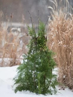 Jardin Pot Trellis 11 Jardin Pot Trellis -Garden Care Shop 8587120 009 tif