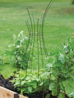 Jardin Pot Trellis 10 Jardin Pot Trellis -Garden Care Shop 8587120 7037 tif