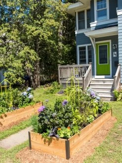 Zenith Folding Garden Supports, Set Of 2 -Garden Care Shop 8587807 0801 tif