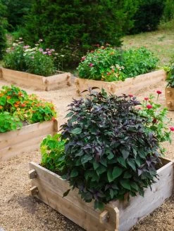 Farmstead Cedar Raised Garden Beds, 3' 10 Farmstead Cedar Raised Garden Beds, 3' -Garden Care Shop 8588143 09V tif