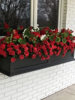 Fairfield Self-Watering Window Box, 5’ -Garden Care Shop 8588938 100V tif