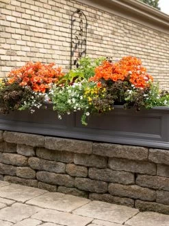 Fairfield Self-Watering Window Box, 5’ -Garden Care Shop 8588938 105V tif
