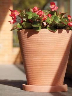 Universal Round Planter Saucers -Garden Care Shop 8589526 001V tif