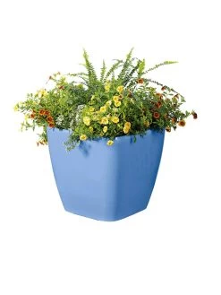 Viva Square Self-Watering Rolling Planter, 14" Diameter -Garden Care Shop 8589777BL 6080 tif