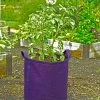 Gardener's Best® Potato Grow Bag -Garden Care Shop 8589785PR 4191 potato grow bags with handles tif