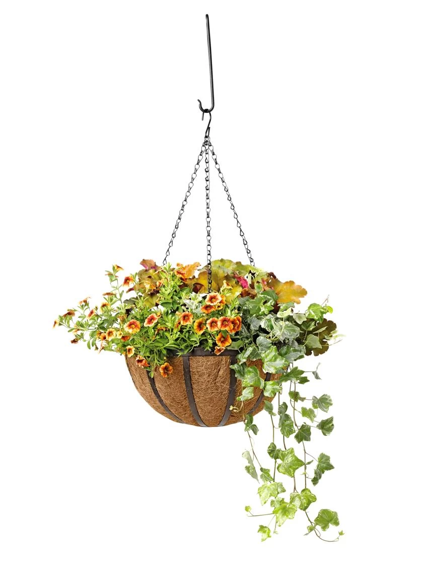AquaSav™ Oxford Hanging Basket, 14" 3 AquaSav™ Oxford Hanging Basket, 14"