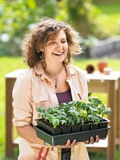 Growease Seed Starter Kit 18 Growease Seed Starter Kit -Garden Care Shop 8589987 0446 tif