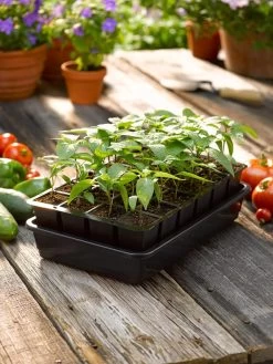 Growease Seed Starter Kit 16 Growease Seed Starter Kit -Garden Care Shop 8589987 1148 tif