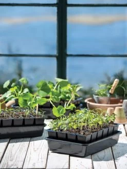 Growease Seed Starter Kit 21 Growease Seed Starter Kit -Garden Care Shop 8589987 7871 tif