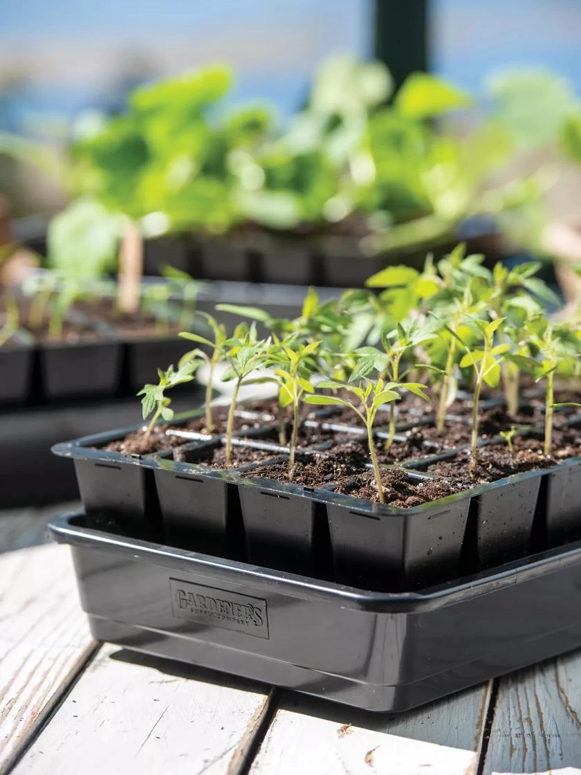 Growease Seed Starter Kit 4 Growease Seed Starter Kit - Image 2