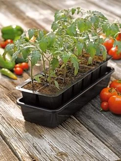 Growease Seed Starter Kit 15 Growease Seed Starter Kit -Garden Care Shop 8589988 1056 tif