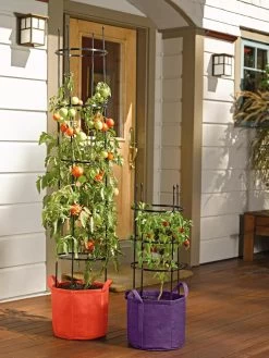 Gardener's Best® Tomato Grow Bag Set -Garden Care Shop 8590013 170 tif