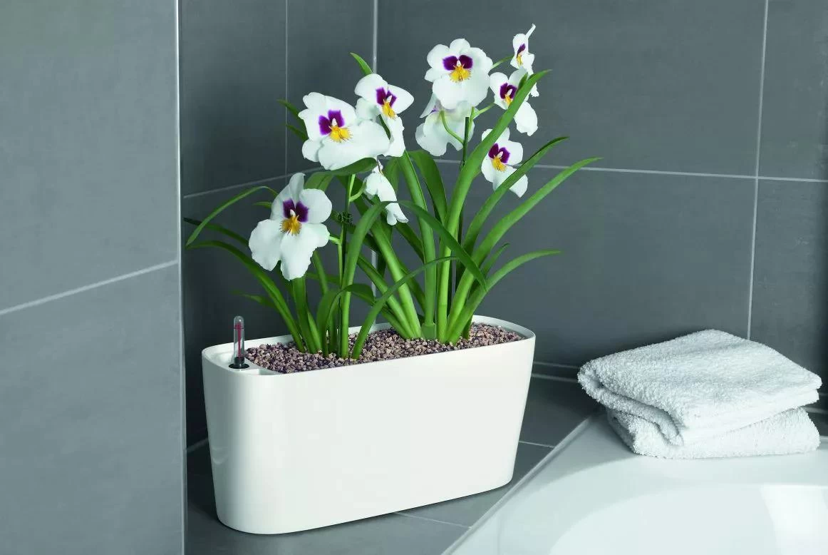 Lechuza® Delta Self-Watering Windowsill Planters 9 Lechuza® Delta Self-Watering Windowsill Planters - Image 7