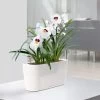 Lechuza® Delta Self-Watering Windowsill Planters 1 Lechuza® Delta Self-Watering Windowsill Planters -Garden Care Shop 8590298 03V tif