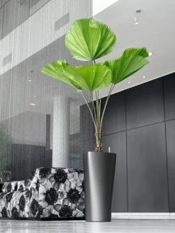 Lechuza® Delta Premium Self-Watering Planters -Garden Care Shop 8590299 02V tif