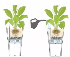 Lechuza® Delta Premium Self-Watering Planters -Garden Care Shop 8590299 07V tif